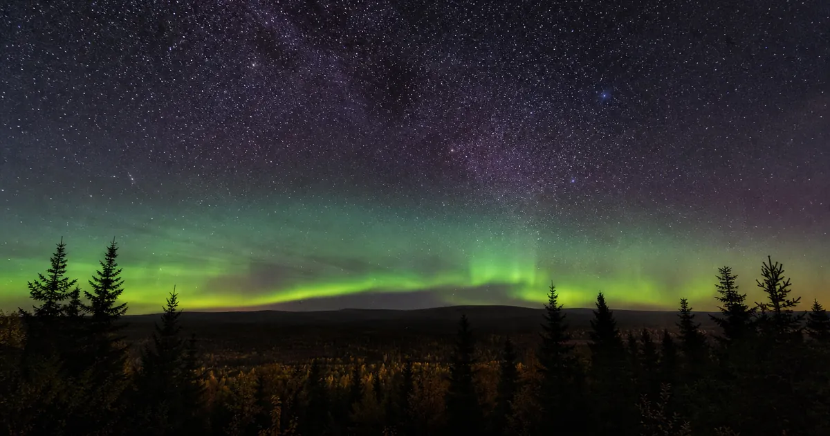 Höstnatt över mörk granskog med stjärnhimmel och svagt norrsken
