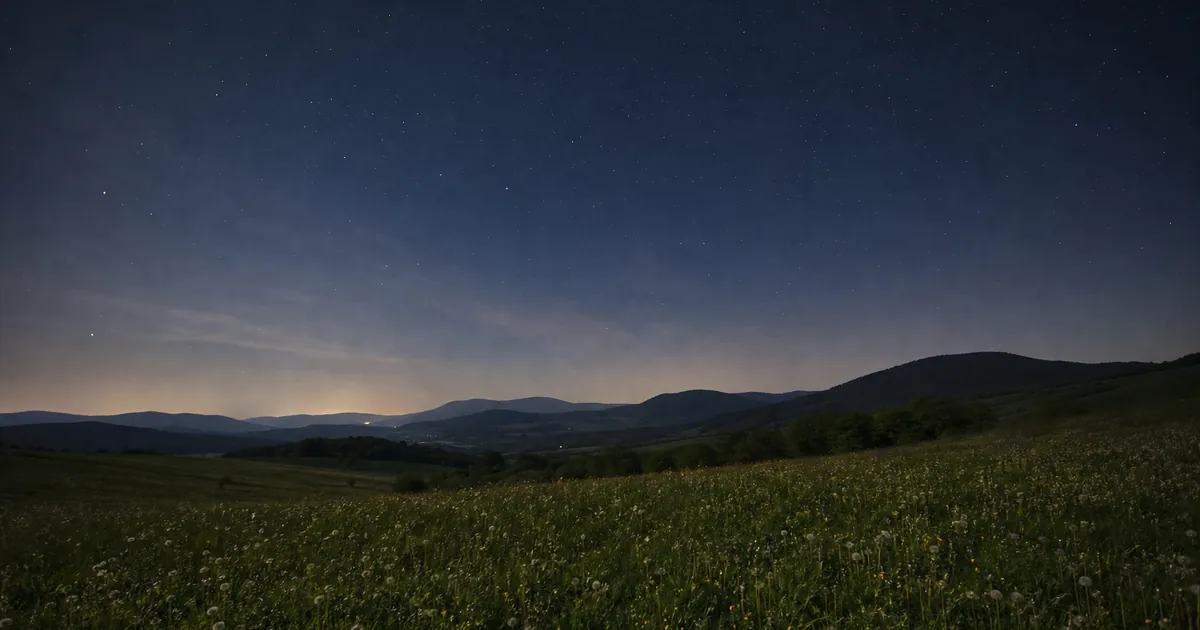 Vårnatt över en äng med ett glest stjärnströssel på mörk himmel