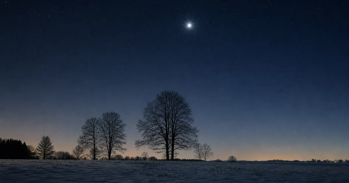 Vinternatt över ett snötäckt fält med en ljus stjärna högt på himlen