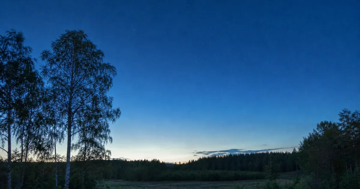 Försommarnatt över en skogsbryn med blek himmel och bara de ljusaste stjärnorna