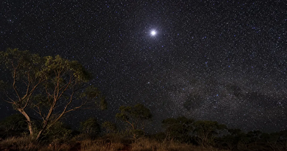 Sydlig natt över australiensisk buske med en ljus stjärna i tätt stjärnfält