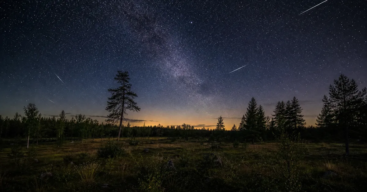 Augustinatt över en skogsglänta med enstaka meteorer på stjärnhimlen