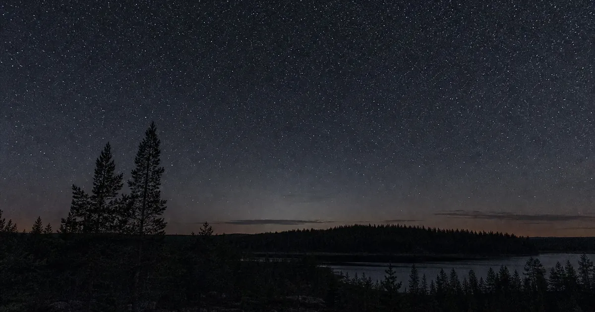 Mörk augustinatt över svensk skog med mycket rikt stjärnfält