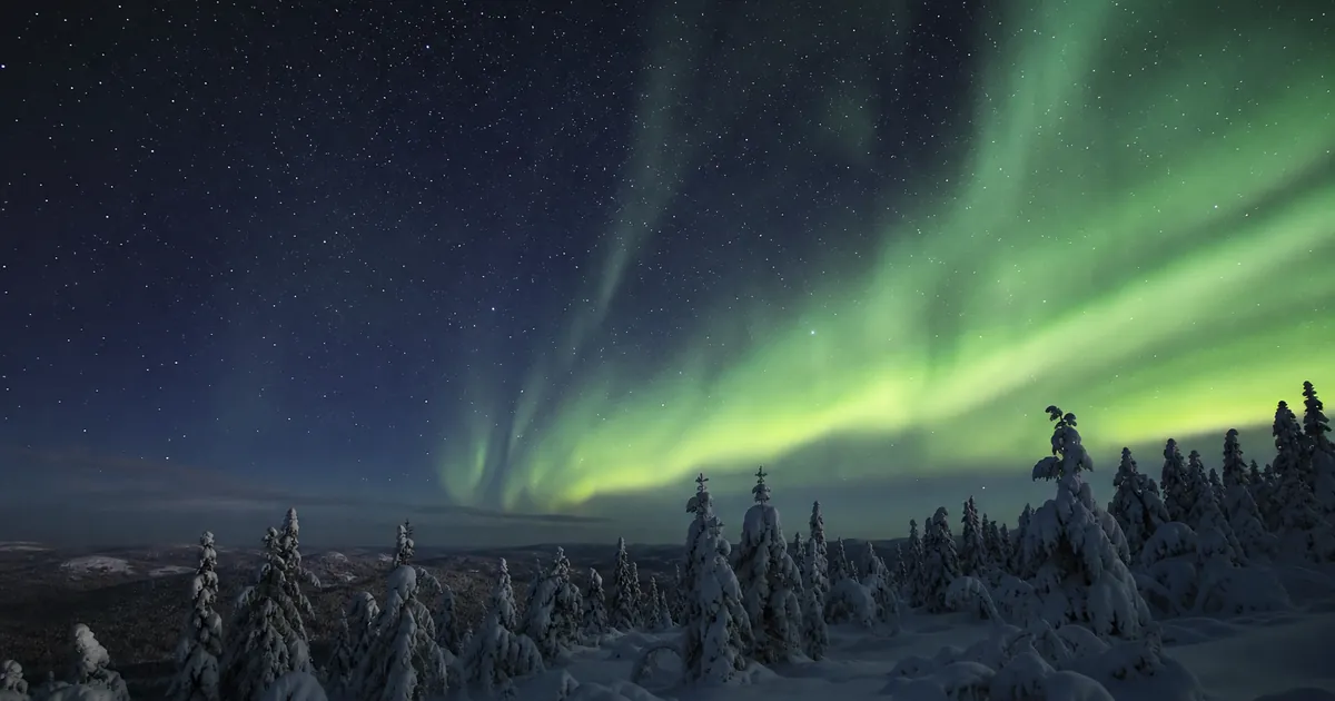 Norrsken och stjärnhimmel över ett snötäckt skogslandskap