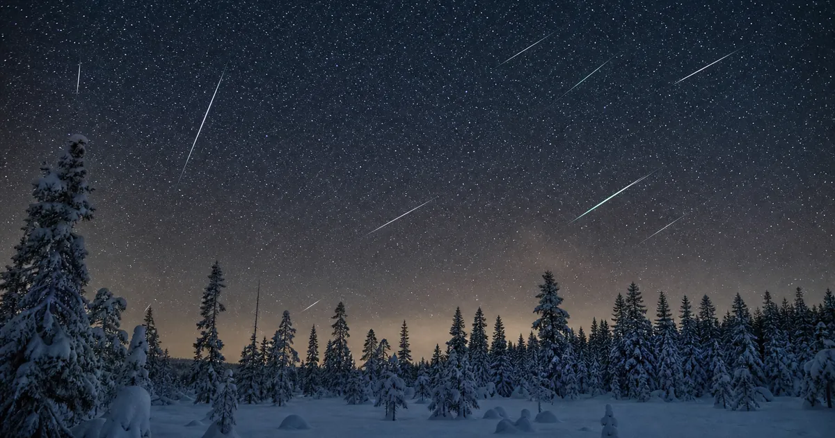 Decembernatt över snötäckt skog med meteorer på stjärnhimlen